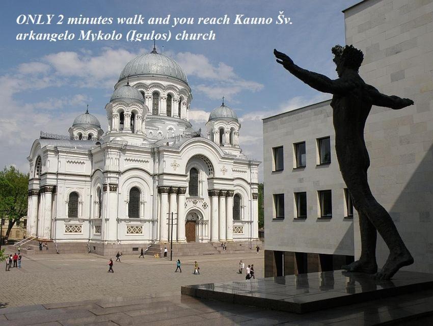 Apartamentai Kauno Centre Kaunas Dış mekan fotoğraf